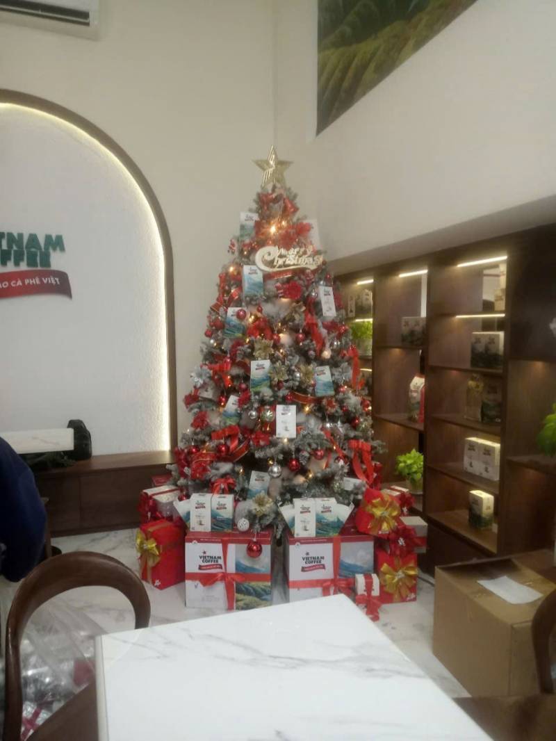  Báo Giá Trang Trí Cây Thông Noel Tại Củ Chi. Ảnh 4